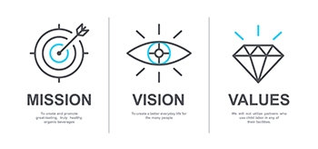 as328959340 mission vision values lg